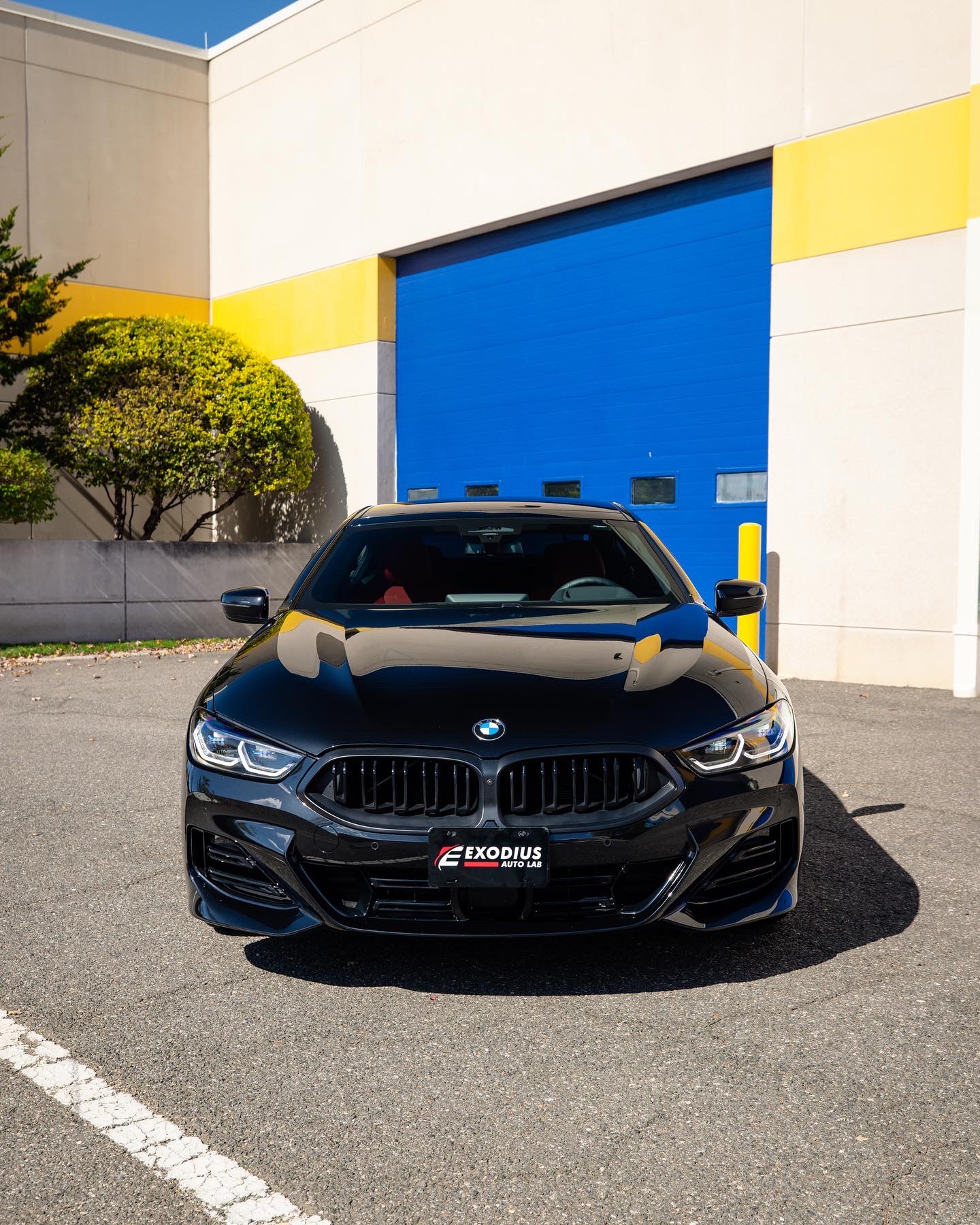 BMW 8 Series