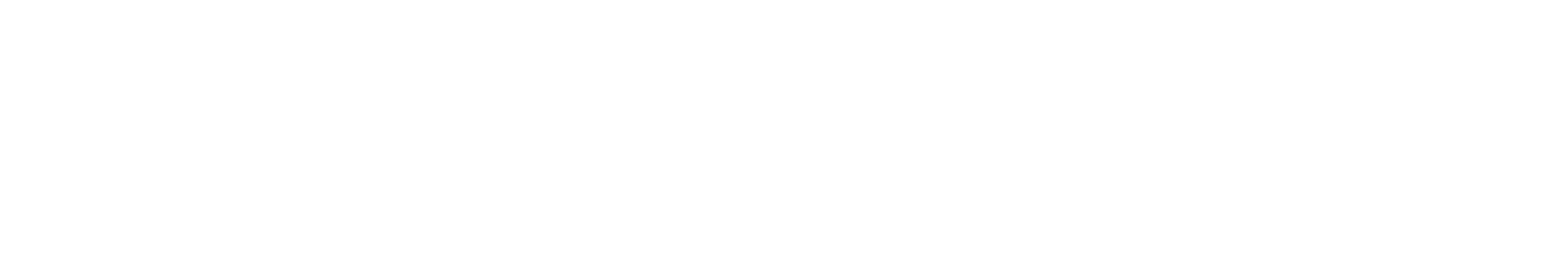 Exodius Auto Protection company logo on dark background